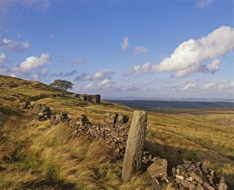 「嵐が丘」: 愛憎渦巻くイギリスの荒野に響く、不屈の愛と運命の悲劇！